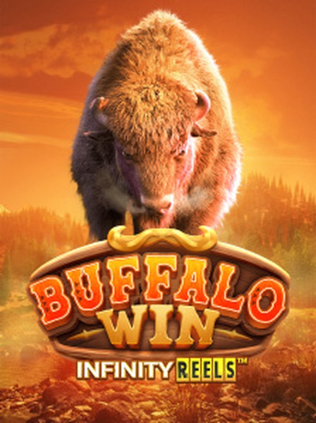 Buffalo Win: Leitura de Sinais e Janelas